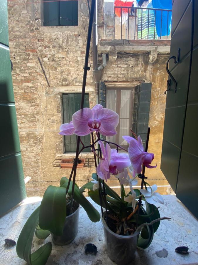 Emma's House Venedig