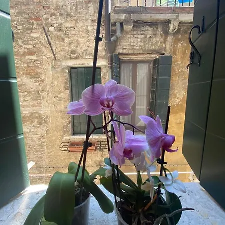 Appartement Emma'S House à Venise Extérieur photo